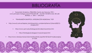 BIBLIOGRAFÍA
• Transmisión Sináptica, PRINCIPIA Centro de Ciencias. PDF (
www.principia-malaga.com) tlf 952 070 481 · fax 952 103 849,Avda. DE LUIS
BUÑUEL, 6 · 29011 · MÁLAGA
• “TRANSMISIÓN SINÁPTICA. INTEGRACIÓN NEURONAL” PDF
• http://www2.uah.es/tejedor_bio/bioquimica_ambiental/tema12/tema%2012-
sinapsis.htm
• http://www.uprm.edu/biology/profs/velez/neurotrans.htm
• http://histologiaub.blogspot.mx/p/sinapsis.html
• http://www.visionjournal.es/visionmedia/article.aspx?id=321&rdr=true&LangTyp
e=1034
 