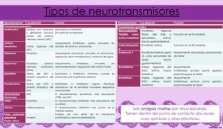 Tipos de neurotransmisores
Neurotransmisor Localización Función
Transmisores pequeños
Acetilcolina Sinapsis con músculos
y glándulas; muchas
partes del sistema
nervioso central (SNC)
Excitatorio o inhibitorio
Envuelto en la memoria
Aminas
Serotonina Varias regiones del
SNC
Mayormente inhibitorio; sueño, envuelto en
estados de ánimo y emociones
Histamina Encéfalo Mayormente excitatorio; envuelto en emociones,
regulación de la temperatura y balance de agua
Dopamina Encéfalo; sistema
nervioso autónomo
(SNA)
Mayormente inhibitorio; envuelto en
emociones/ánimo; regulación del control motor
Epinefrina Areas del SNC y
división simpática del
SNA
Excitatorio o inhibitorio; hormona cuando es
producido por la glándula adrenal
Norepinefrina Areas del SNC y
división simpática del
SNA
Excitatorio o inhibitorio; regula efectores
simpáticos; en el encéfalo envuelve respuestas
emocionales
Aminoácidos
Glutamato
SNC El neurotransmisor excitatorio más abundante
(75%) del SNC
GABA Encéfalo El neurotransmisor inhibitorio más abundante del
encéfalo
Glicina Médula espinal El neurotransmisor inhibitorio más común de la
médula espinal
Otras moléculas
pequeñas
Óxido nítrico
Incierto
Pudiera ser una señal de la membrana
postsináptica para la presináptica
Transmisores grandes
Neuropéptidos
Péptido vaso-
activo intestinal
Encéfalo; algunas
fibras del SNA y
sensoriales, retina,
tracto gastrointestinal
Función en el SN incierta
Colecistoquinin
a
Encéfalo; retina Función en el SN incierta
Sustancia P Encéfalo;médula espin
al, rutas sensoriales de
dolor, tracto
gastrointestinal
Mayormente excitatorio; sensaciones
de dolor
Encefalinas Varias regiones del
SNC; retina; tracto
intestinal
Mayormente
inhibitorias; actúan como opiatos
para bloquear el dolor
Endorfinas Varias regiones del
SNC; retina; tracto
intestinal
Mayormente
inhibitorias; actúan como opiatos
para bloquear el dolor
Neurotransmisor Localización Función
Las sinápsis mixtas son muy escasas.
Tienen dentro del punto de contacto dos zonas:
unas químicas y otras eléctricas.
 
