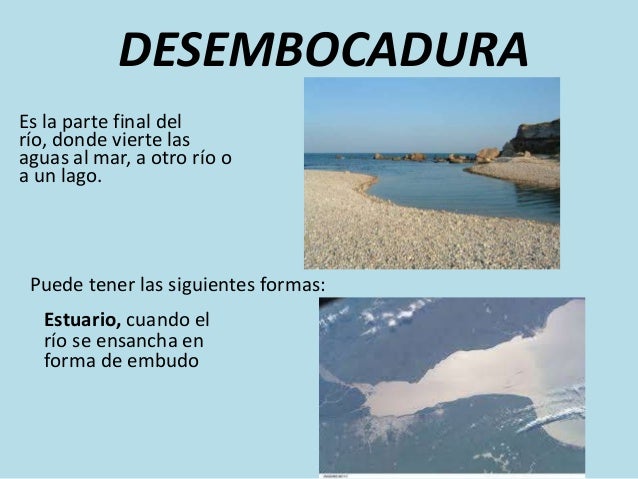 Desembocadura De Rio En Forma De Embudo Conf. los rios