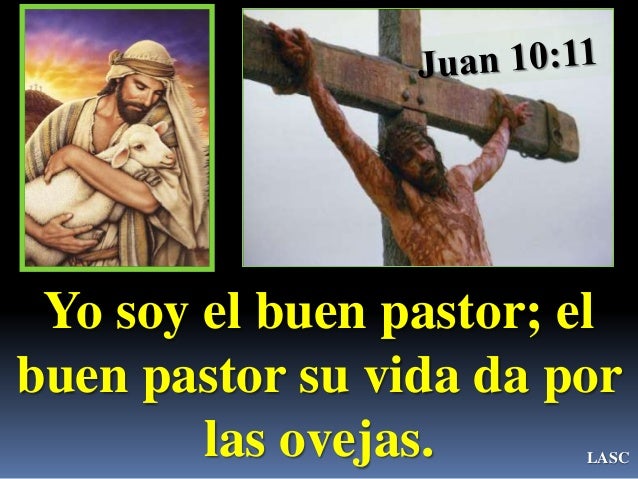 Resultado de imagen de yo soy el buen pastor el buen pastor da su vida por las ovejas