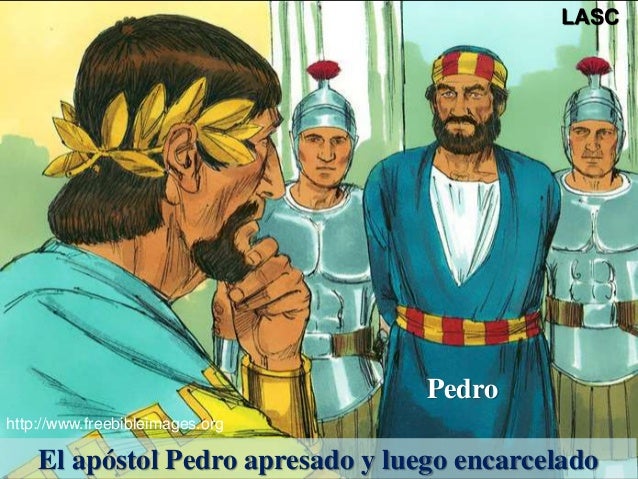 CONF. MUERTE DE JACOBO. PEDRO ENCARCELADO Y SU LIBERACIÓN MILAGROSA.(…