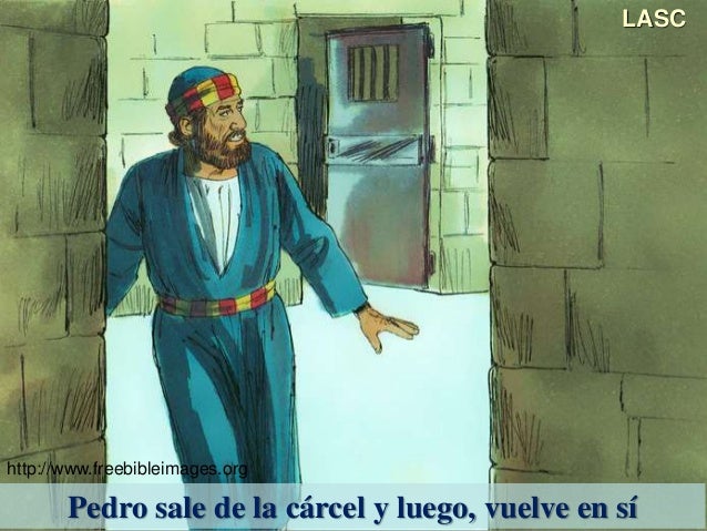 CONF. MUERTE DE JACOBO. PEDRO ENCARCELADO Y SU LIBERACIÓN MILAGROSA.(…