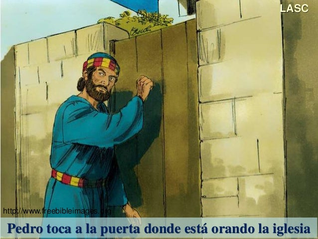 CONF. MUERTE DE JACOBO. PEDRO ENCARCELADO Y SU LIBERACIÓN MILAGROSA.(…