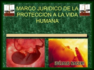 MARCO JURIDICO DE LA
PROTECCION A LA VIDA
HUMANA
 
