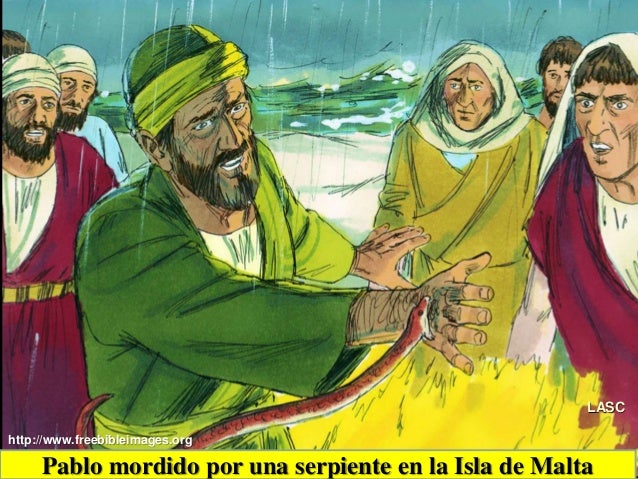 Los Hechos de los Apóstoles. ¿Sacralidad o fraude? - Página 3 Conf-pablo-en-su-viaje-final-a-roma-en-la-isla-de-malta-hechos-28111-hch-28a-11-638