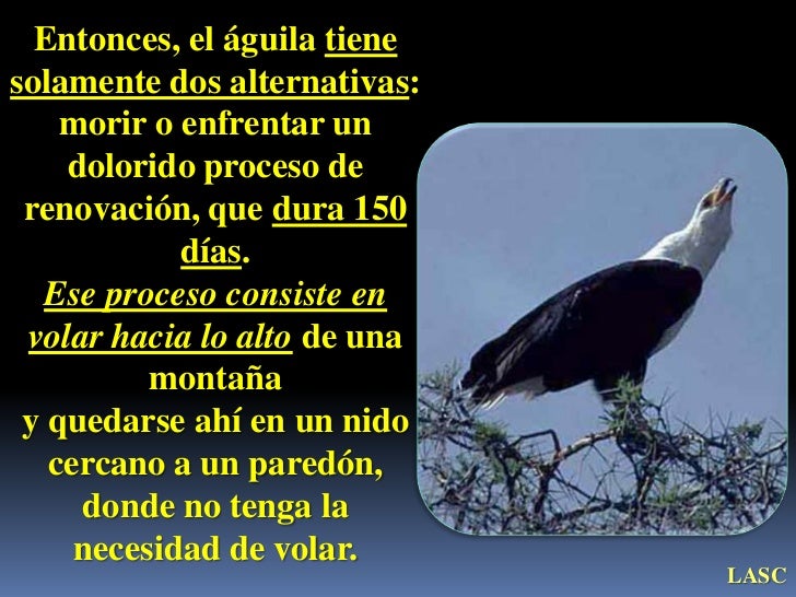 Que Significa El Aguila Y La Serpiente En La Biblia - Descargar Pdf