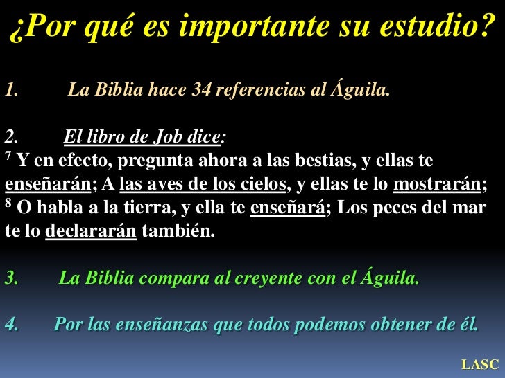 Resultado de imagen para PORQUE HAY QUE SER COMO EL AGUILA