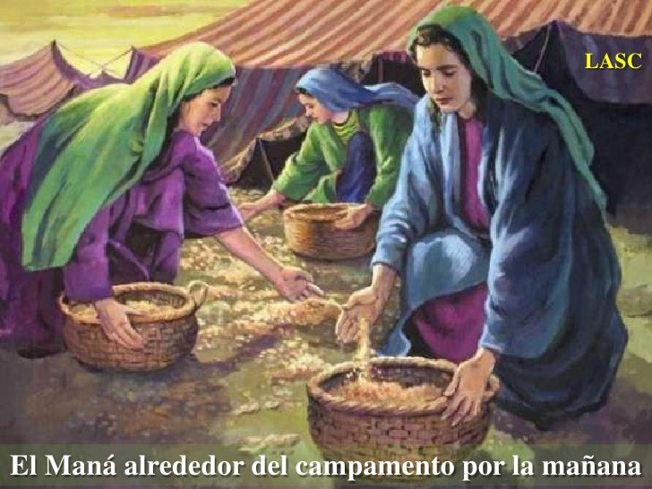 CONF. EXODO 16130. (EX. No. 16). DIOS PROVEE EL MANA AL PUEBLO DE I…