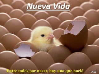 Nueva Vida




Entre todos por nacer, hay uno que nació   LASC
 