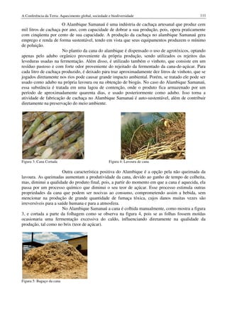 A Conferência da Terra: Aquecimento global, sociedade e biodiversidade                         111

                      O Alambique Samanaú é uma indústria de cachaça artesanal que produ cem
                                                                                      produz
mil litros de cachaça por ano, com capacidade de dobrar a sua produção, pois, opera praticamente
com cinqüenta por cento de sua capacidade. A produção da cachaça no alambique Samanaú gera
emprego e renda de forma sustentável, tendo em vista que seus equipamentos produzem o mínimo
de poluição.
                      No plantio da cana do alambique é dispensado o uso de agrotóxicos, optando
apenas pelo adubo orgânico proveniente da própria produção, sendo utilizados os rejeitos das
leveduras usadas na fermentação. Além disso, é utilizado também o vinhoto, que consiste em um
                                         disso,
resíduo pastoso e com forte odor proveniente do rejeitado da fermentado da cana
                                                                             cana-de-açúcar. Para
cada litro de cachaça produzido, é deixado para traz aproximadamente dez litros de vinhoto, que se
jogados diretamente nos rios pode causar grande impacto ambiental. Porém, se tratado ele pode ser
           iretamente
usado como adubo na própria lavoura ou na obtenção de biogás. No caso do Alambique Samanaú,
essa substância é tratada em uma lagoa de contenção, onde o produto fica ar   armazenado por um
período de aproximadamente quarenta dias, e usado posteriormente como adubo. Isso torna a
atividade de fabricação de cachaça no Alambique Samanaú é auto sustentável, além de contribuir
                                                              auto-sustentável,
diretamente na preservação do meio ambiente.




Figura 3: Cana Cortada                                Figura 4: Lavoura de cana

                       Outra característica positiva do Alambique é a opção pela não queimada da
lavoura. As queimadas aumentam a produtividade da cana, devido ao ganho de tempo de colheita,
mas, diminui a qualidade do produto final, pois, a partir do momento em que a cana é aquecida, ela
passa por um processo químico que diminui o seu teor de açúcar. Esse processo estimula outras
propriedades da cana que podem ser nocivas ao consumo, comprometendo assim a bebida, sem
mencionar na produção de grande quantidade de fumaça tóxica, cujos danos muitas vezes são
irreversíveis para a saúde humana e para a atmosfera.
                       No Alambique Samanaú a cana é colhida manualmente, como mostra a figura
3, e cortada a parte da folhagem como se observa na figura 4, pois se as folhas fossem moídas
ocasionaria uma fermentação excessiva do caldo, influenciando diretamente na qualidade da
produção, tal como no brix (teor de açúcar).




Figura 5: Bagaço da cana
 