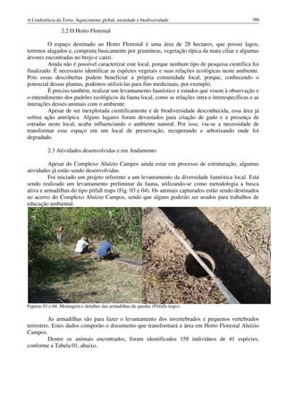 Conf terra-2010-vol-2