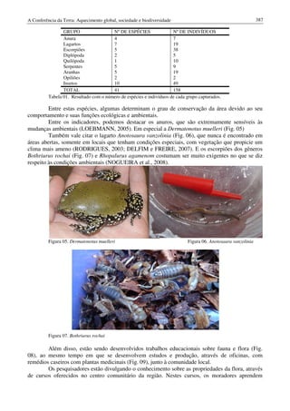 Conf terra-2010-vol-2