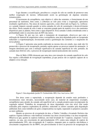 Conf terra-2010-vol-2