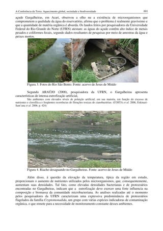 Conf terra-2010-vol-2