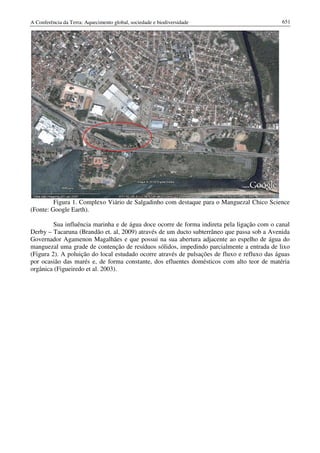 Conf terra-2010-vol-2