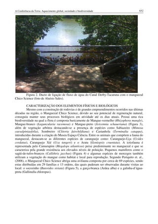 Conf terra-2010-vol-2