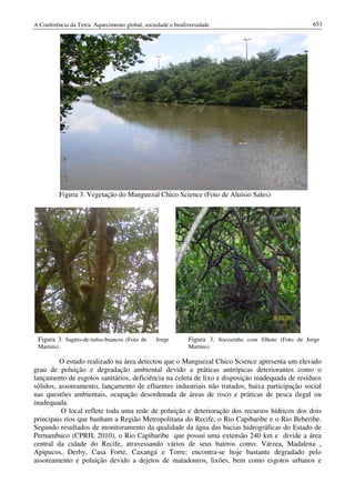 Conf terra-2010-vol-2