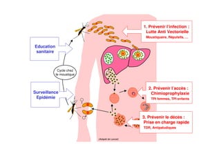 Cycle chez
le moustique
(Adapté de Lancet)
2. Prévenir l’accès :
Chimioprophylaxie
TPI femmes, TPI enfants
3. Prévenir le décès :
Prise en charge rapide
TDR, Antipaludiques
1. Prévenir l’infection :
Lutte Anti Vectorielle
Moustiquaire, Répulsifs, …
Education
sanitaire
Surveillance
Epidémie
 