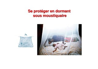 Se protéger en dormant
sous moustiquaire
Se protéger en dormant
sous moustiquaire
 
