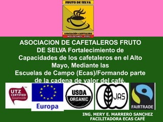 ASOCIACION DE CAFETALEROS FRUTO
DE SELVA Fortalecimiento de
Capacidades de los cafetaleros en el Alto
Mayo, Mediante las
Escuelas
de
de Campo (Ecas)/Formando parte
la cadena de valor del café.
ING. MERY E. MARRERO SANCHEZ
FACILITADORA ECAS CAFÉ
 