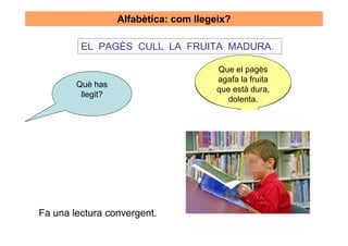 Alfabètica: com llegeix?

         EL PAGÈS CULL LA FRUITA MADURA.

                                         Que el pagès
                                        El pa... gès cull
        Què has                        laagafa la fruita
                                          frui... ta dura...
                                         que està dura,
         llegit?
                                             dolenta.




Fa una lectura convergent.
 