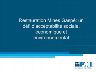 Restauration Mines Gaspé: un
défi d’acceptabilité sociale,
économique et
environnemental
 