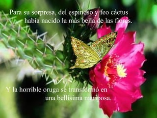 Para su sorpresa, del espinoso y feo cáctus
había nacido la más bella de las flores.
Y la horrible oruga se transformó en
una bellísima mariposa.