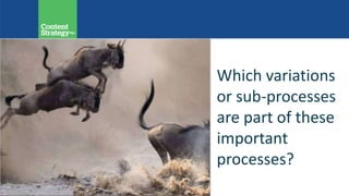 Which variations
or sub-processes
are part of these
important
processes?
 