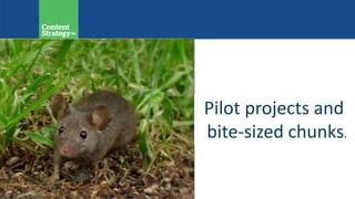 Pilot projects and
bite-sized chunks.
 