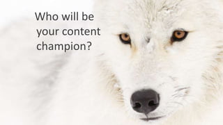 Who will be
your content
champion?
 