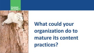 What could your
organization do to
mature its content
practices?
 
