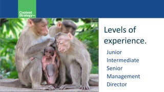 Levels of
experience.
Junior
Intermediate
Senior
Management
Director
 