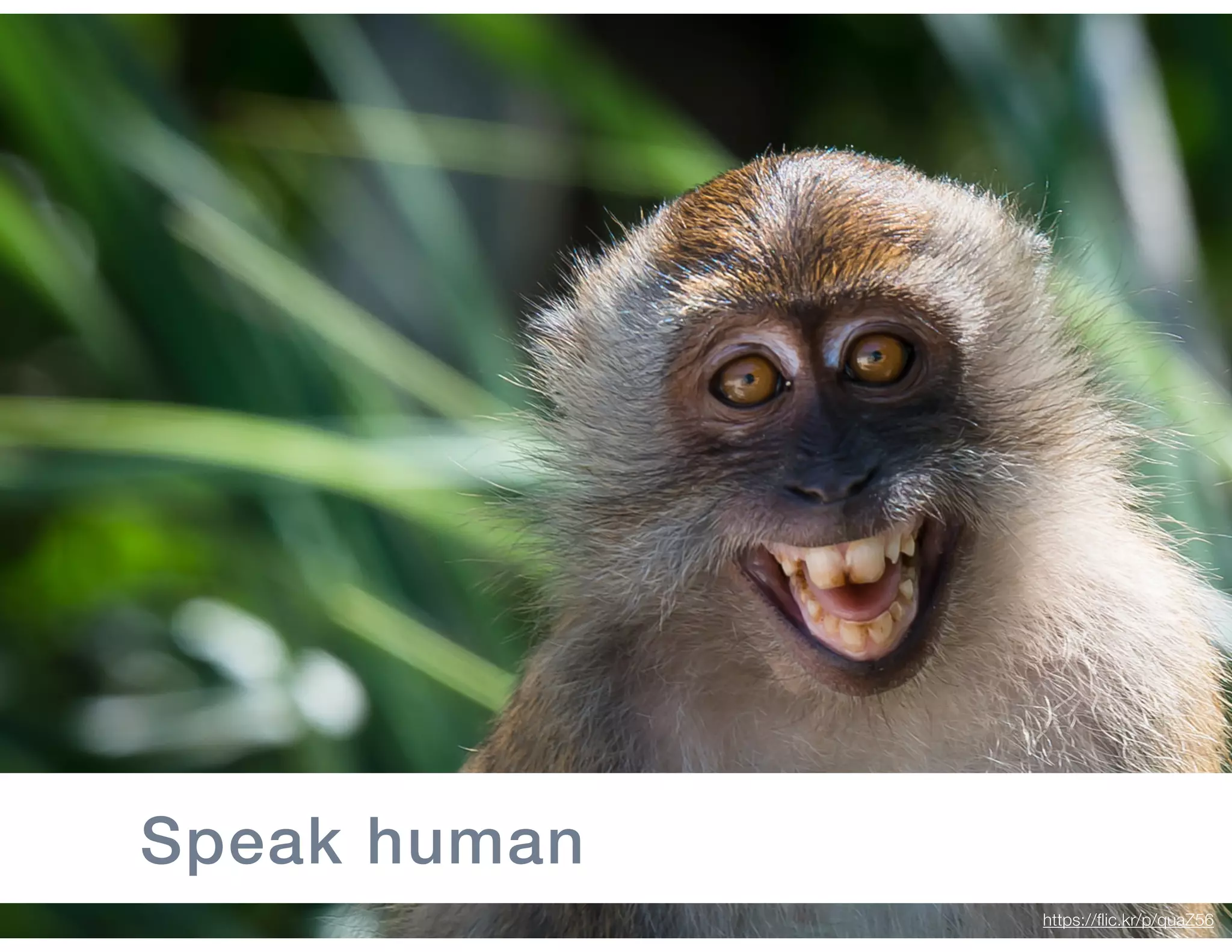 56
Speak human
https://flic.kr/p/quaZ56
 