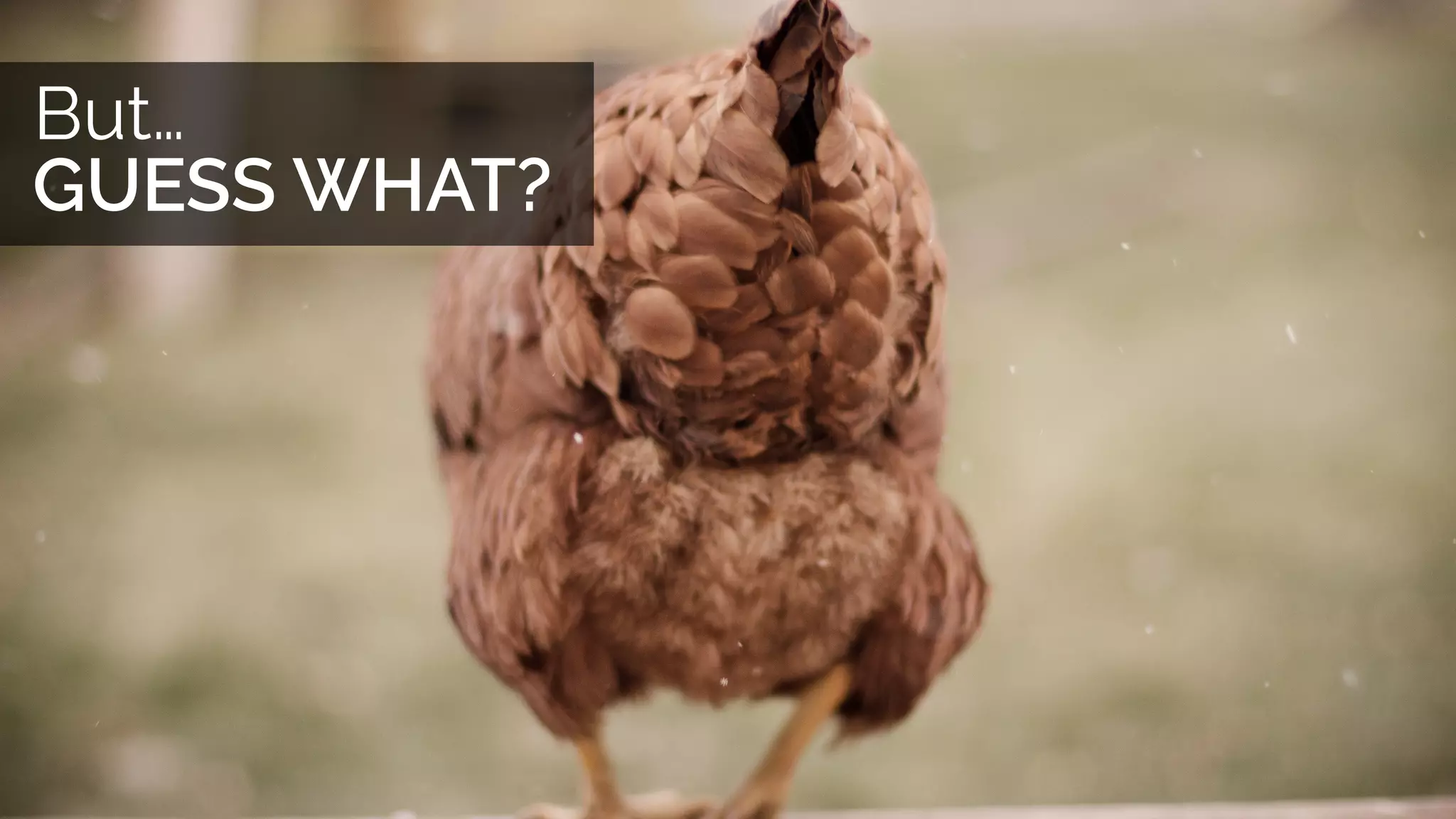 “Were you able to ﬁnd everything easily on the site today?”
“No. I searched for Biology
twice and it never showed
up. I ﬁnally found it listed as
Life Science.”“Why does clicking on the
map give me a PDF that I
can barely see on my
phone?”
“Yup! Everything is perfect!
Carry on!”
“Yup! Everything is perfect!
Carry on!”
 