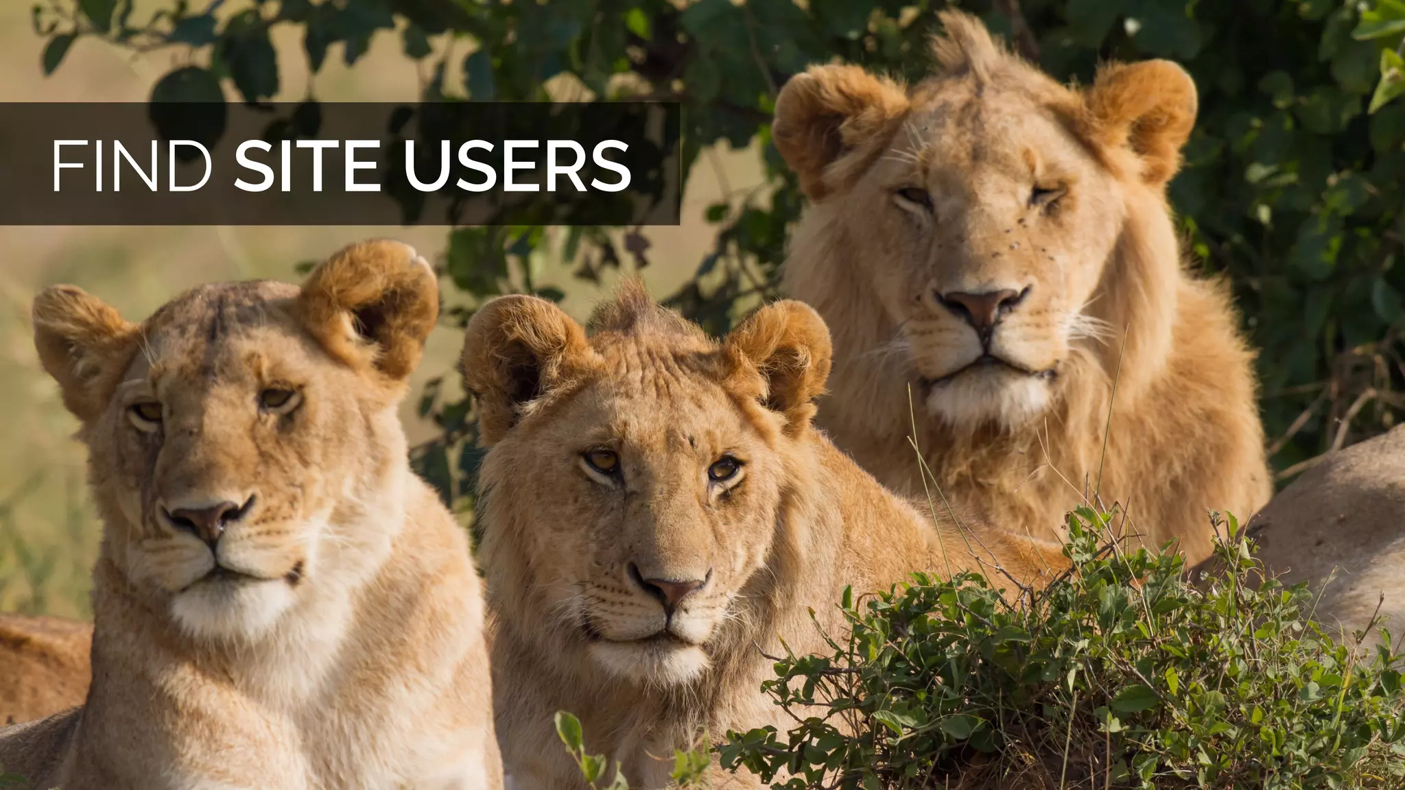 EFFECTIVE GOVERNANCE
REQUIRES A DEMOCRACY,
NOT A DICTATORSHIP
 