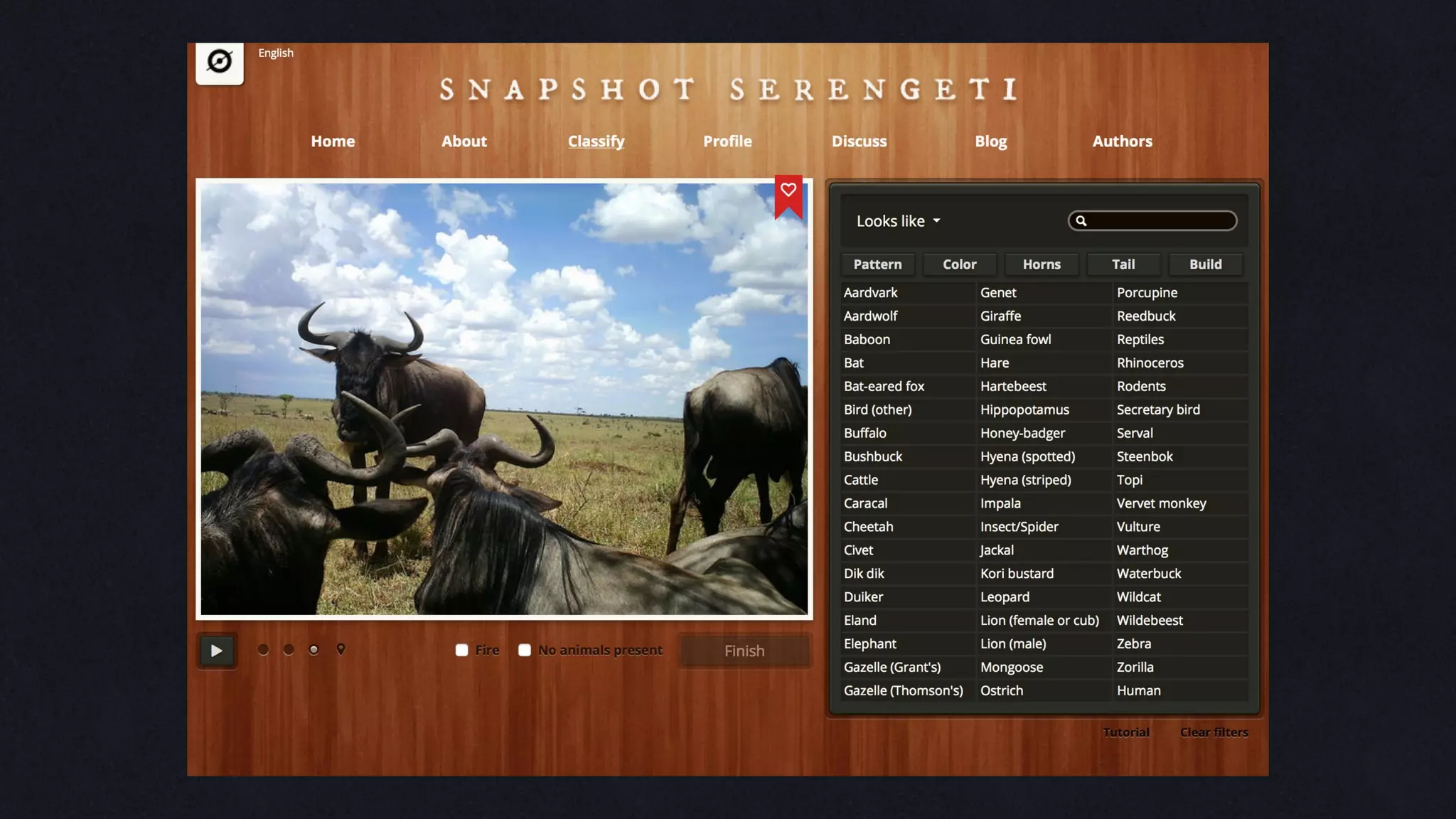 THE ROLLING AUDIT
EXAMPLE:
 