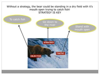 Without a strategy, the bear could be standing in a dry field with it’s 
To catch fish 
Stand with 
mouth open 
mouth open...