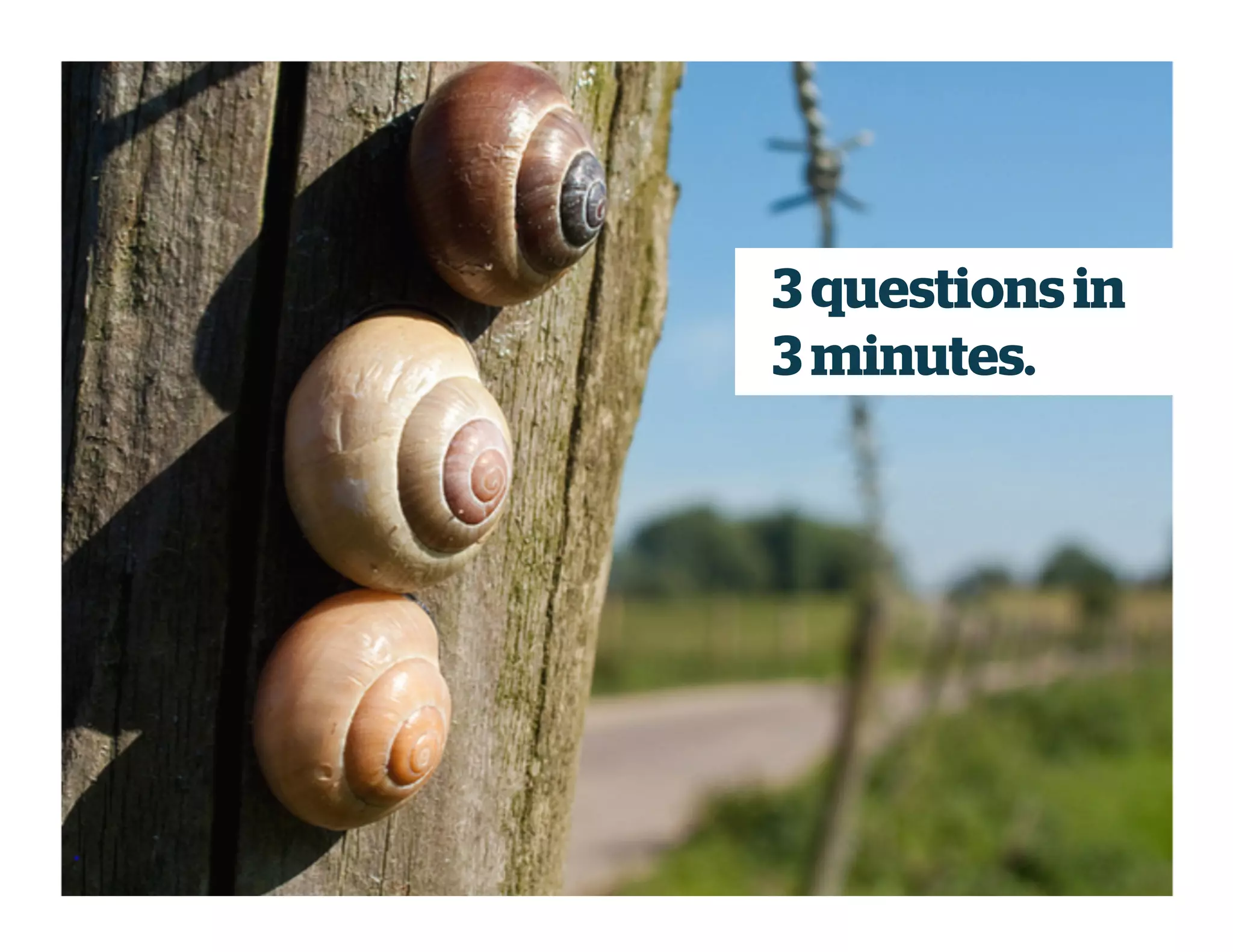 3 questions in
3 minutes.
 