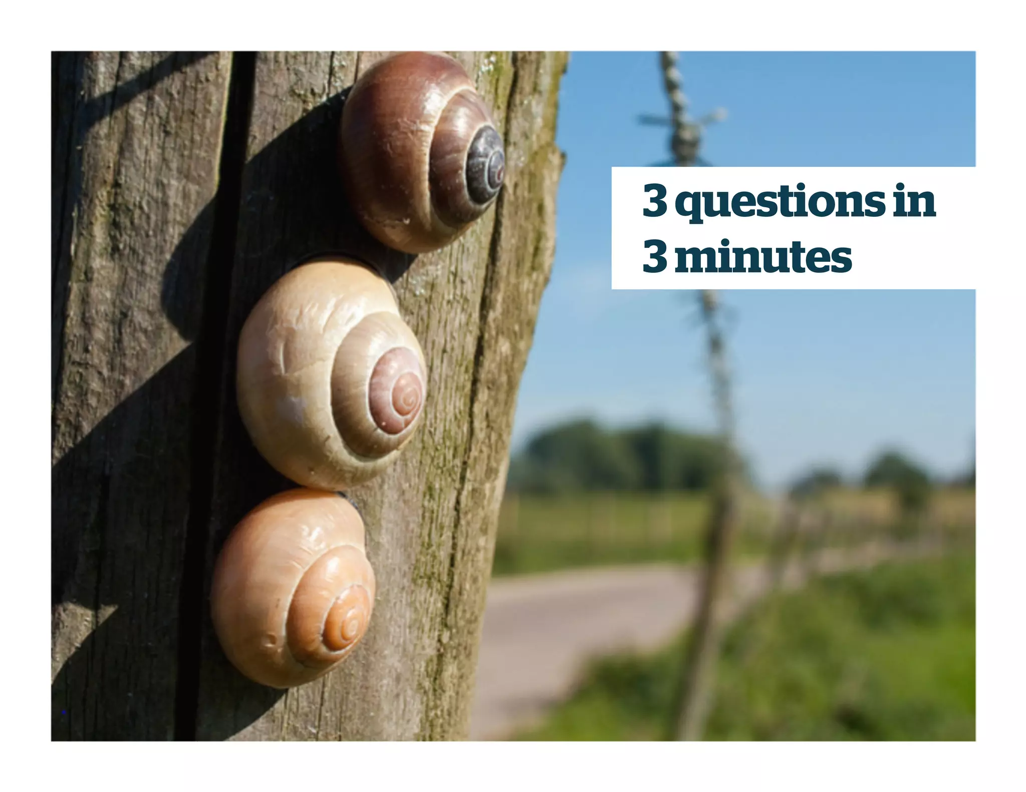 3 questions in
3 minutes
 