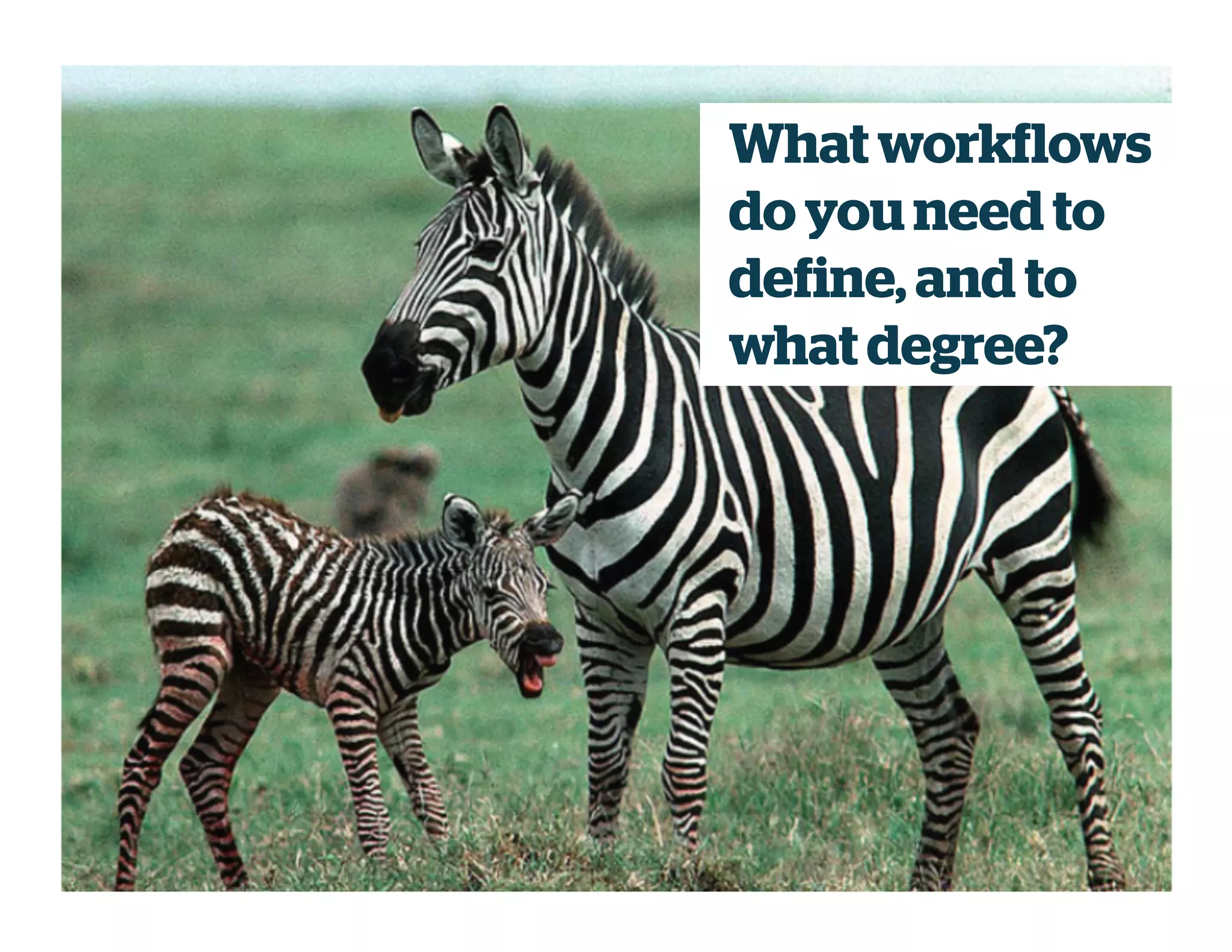 What workflows
do you need to
define, and to
what degree?
 