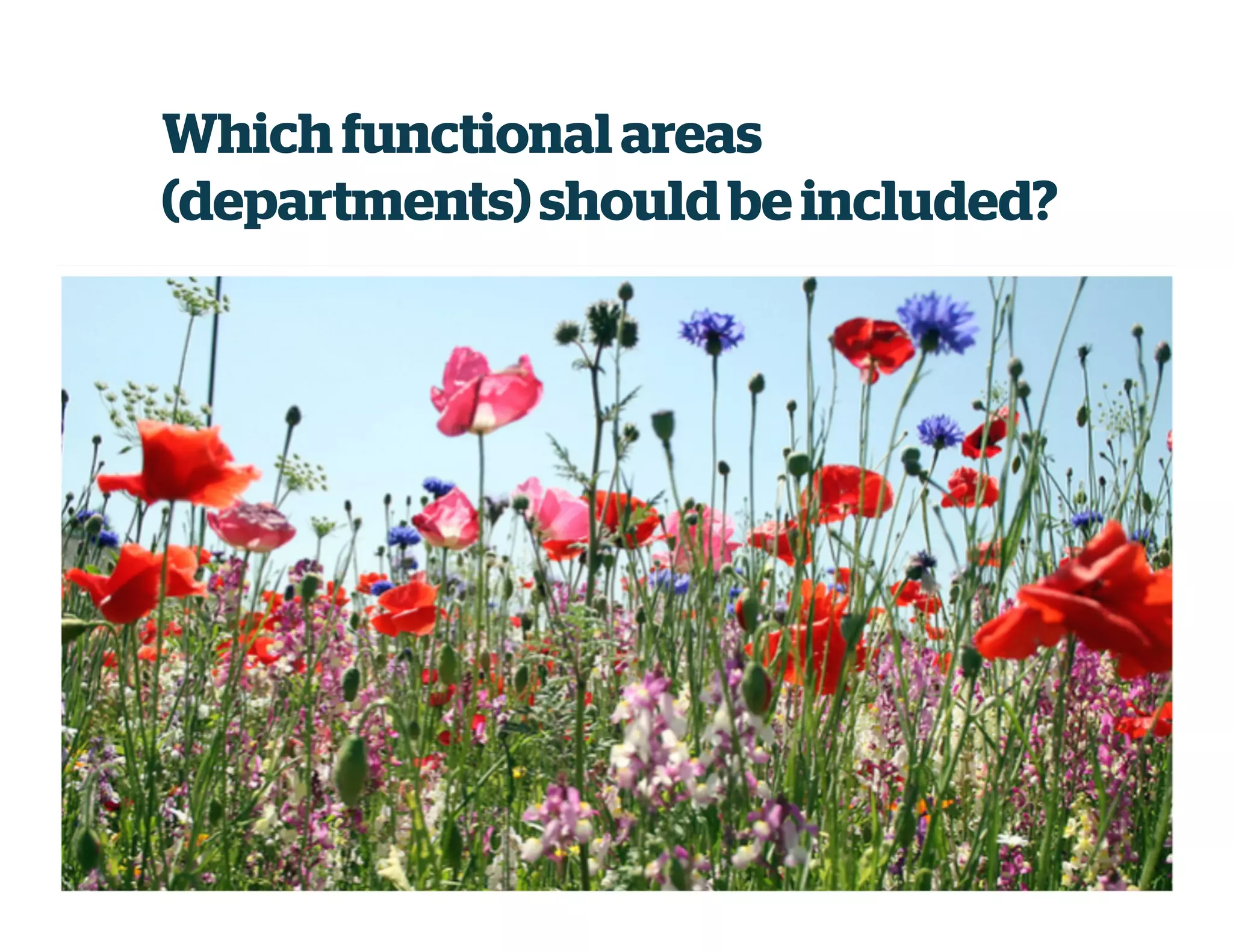 Which functionalareas
(departments)should be included?
 