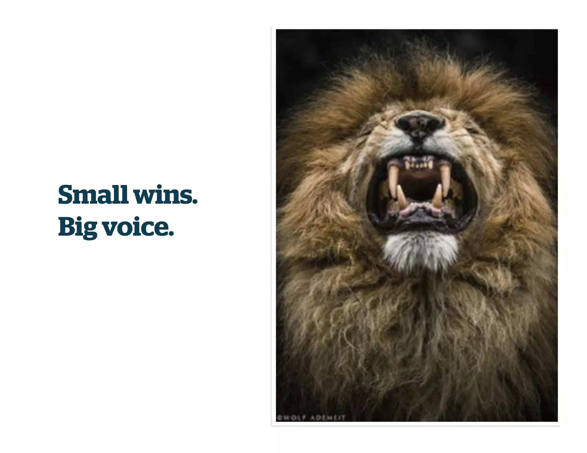 Small wins.
Big voice.
 