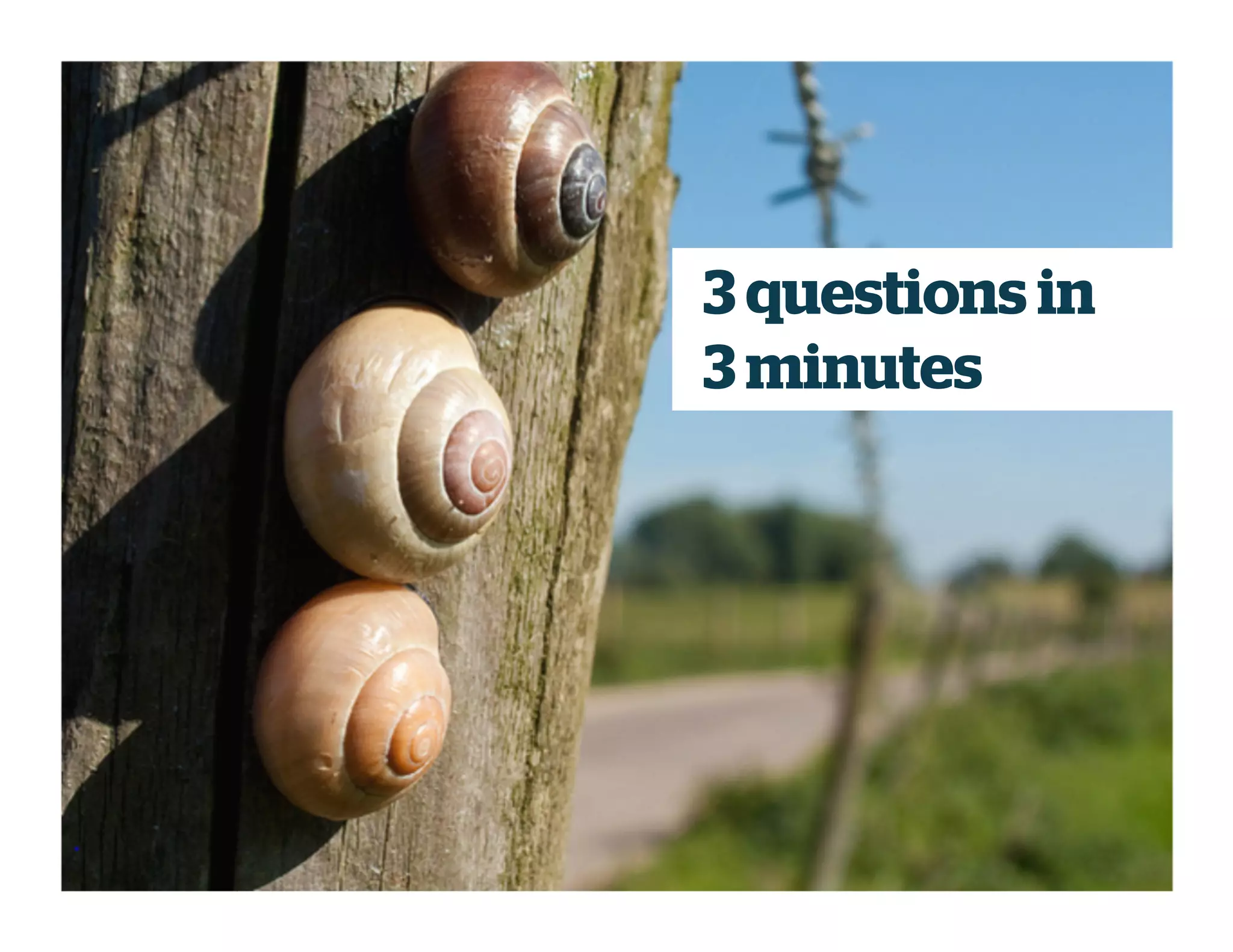 3 questions in
3 minutes
 