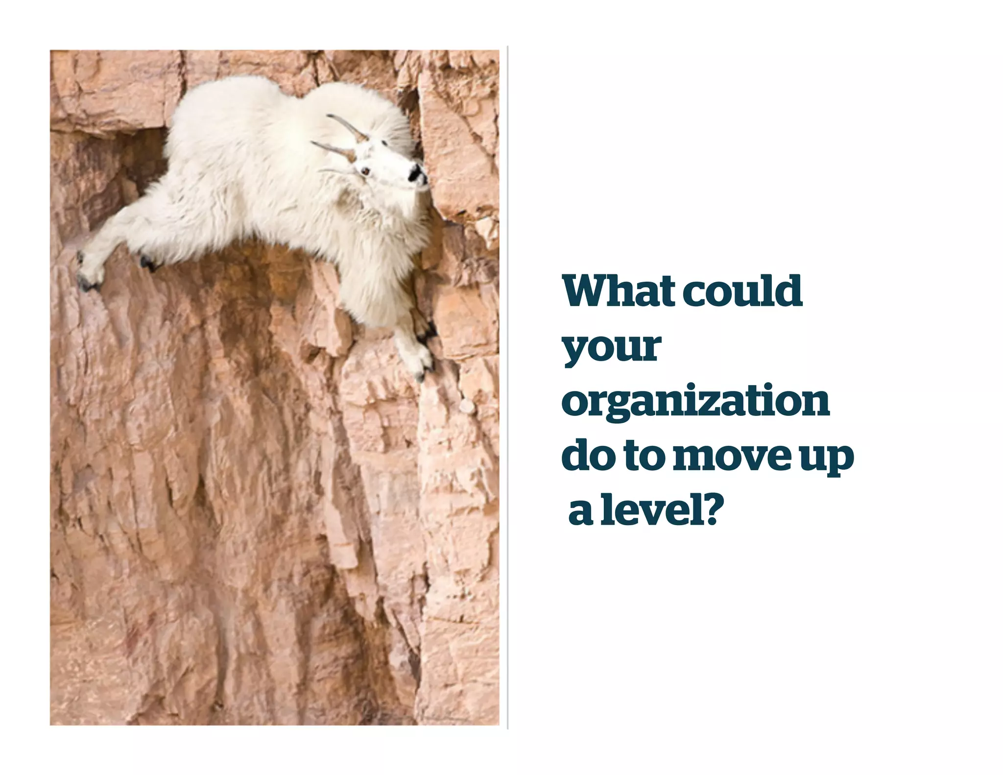 What could
your
organization
do to moveup
a level?
 