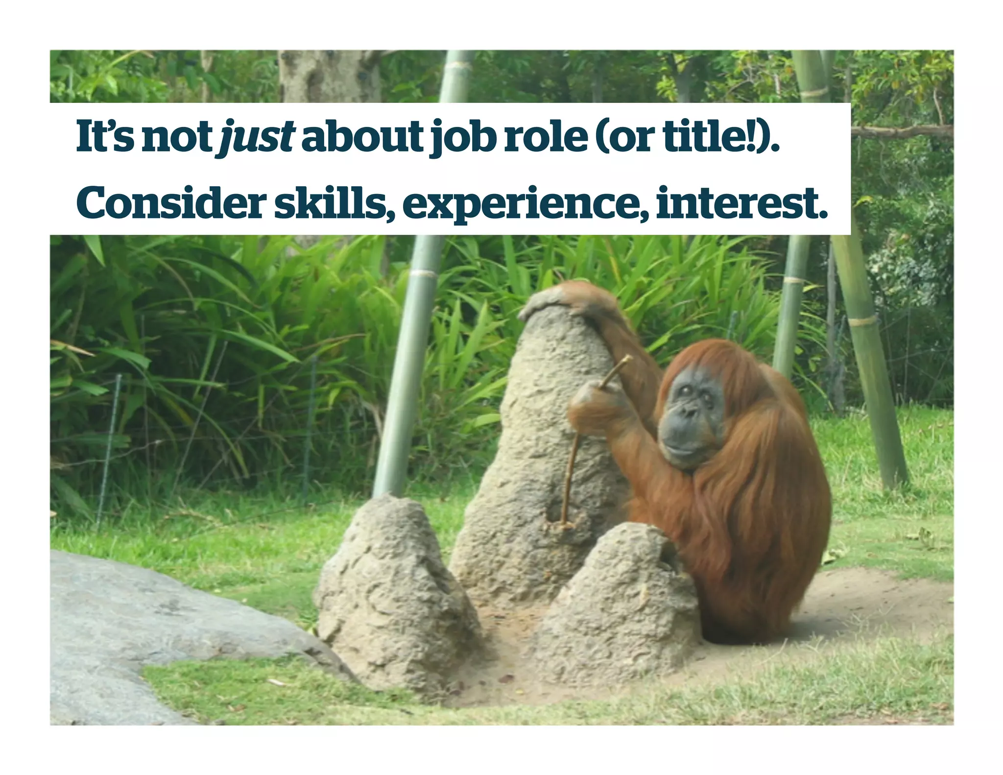 It’s not just about job role (or title!).
Consider skills, experience, interest.
 