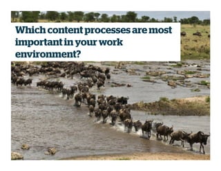 Which content processesare most
important in your work
environment?
 