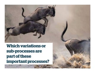 Which variationsor
sub-processesare
part of these
important processes?
 
