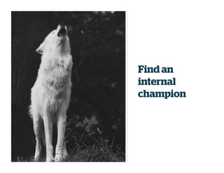 Find an
internal
champion
 