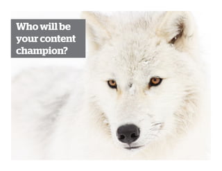 Who will be
your content
champion?
 