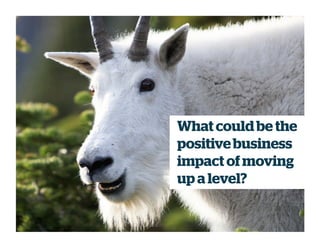 What could be the
positivebusiness
impact ofmoving
up a level?
 